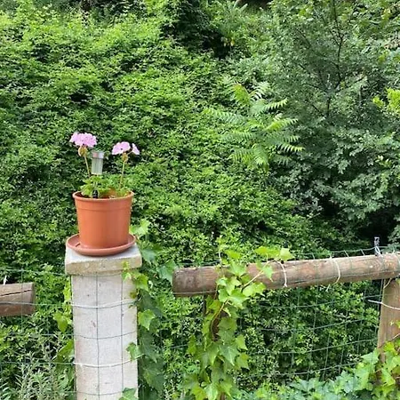 Serenice - F2 Au Calme, Climatise, Wifi Et Parking Gratuit Holiday home *