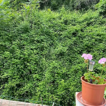 Serenice - F2 Au Calme, Climatise, Wifi Et Parking Gratuit Holiday home Nice